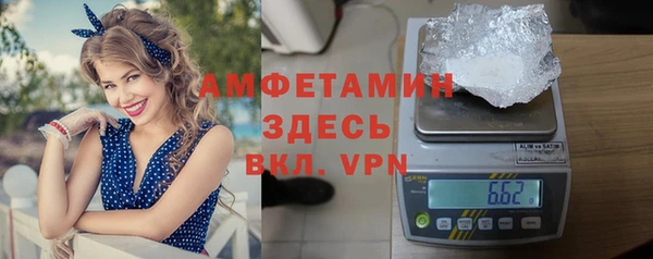 прущие грибы Богородск