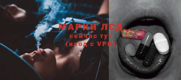 PSILOCYBIN Богородицк
