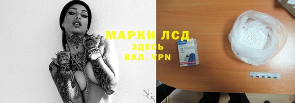 прущие грибы Богородск