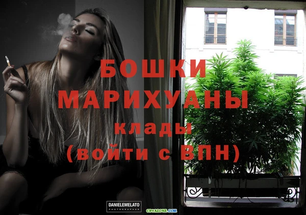 PSILOCYBIN Богородицк