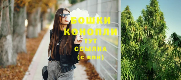 PSILOCYBIN Богородицк
