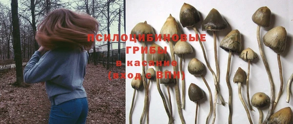 прущие грибы Богородск