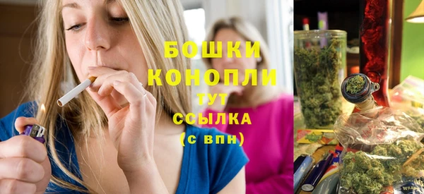прущие грибы Богородск