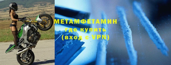 прущие грибы Богородск