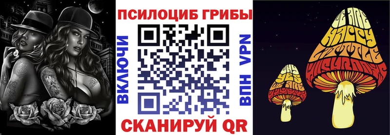 хочу наркоту  Тольятти  Псилоцибиновые грибы Cubensis 