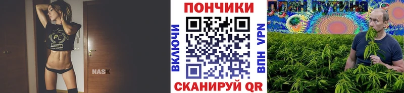 маркетплейс какой сайт  Тольятти  Канабис Amnesia  цены  